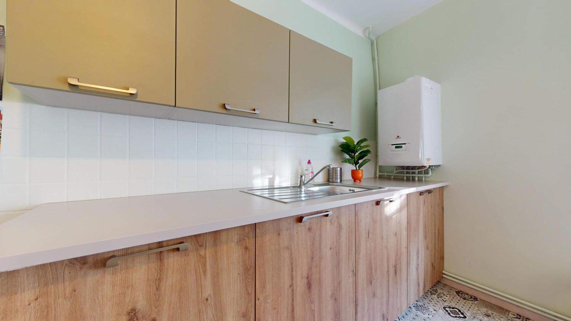 Le Petit Chez Vous Apartment Colmar